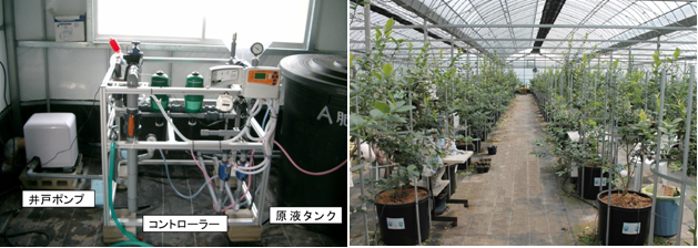 ケアプロ農場
