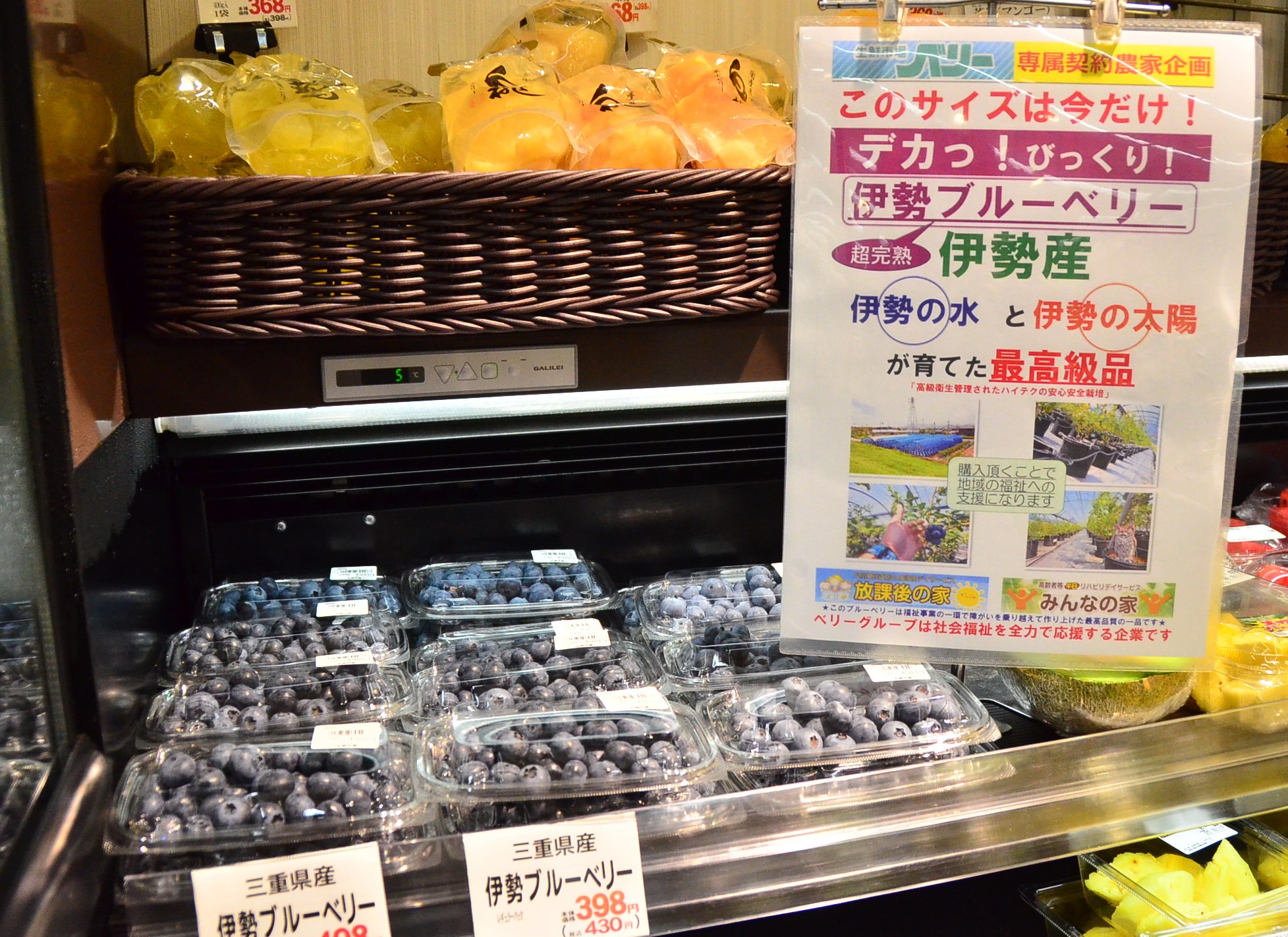 伊勢のワイン醸造 伊勢ワイナリー