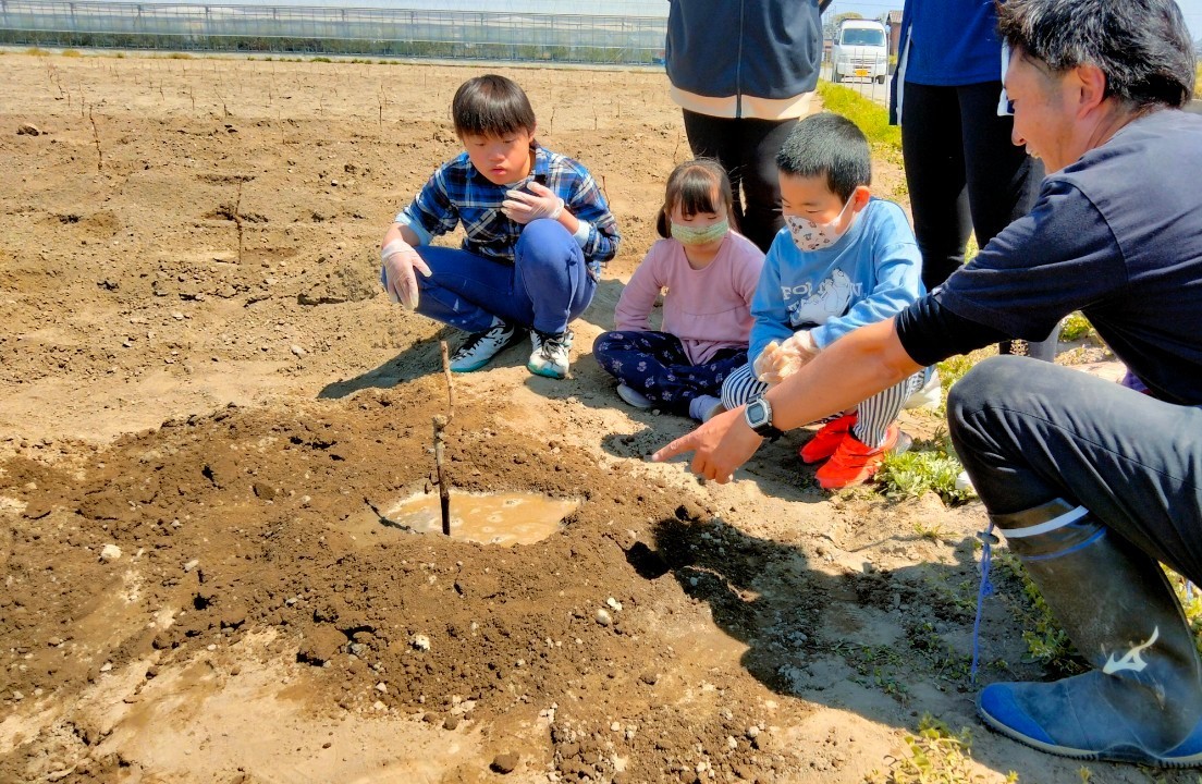 伊勢のワイン醸造 伊勢ワイナリー